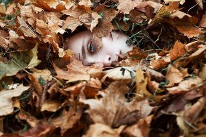 Read more about the article autumn photos