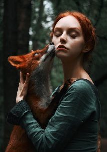 Read more about the article foxes