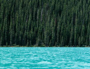 Read more about the article Our Summer Trip