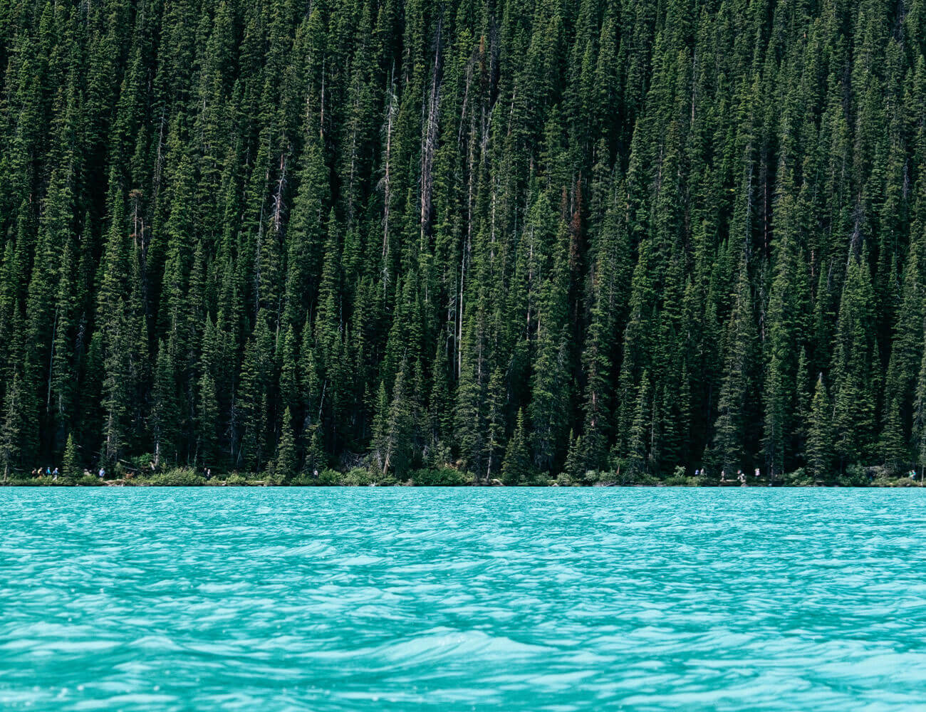 Read more about the article Our Summer Trip